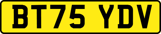 BT75YDV