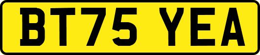 BT75YEA