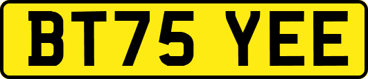 BT75YEE
