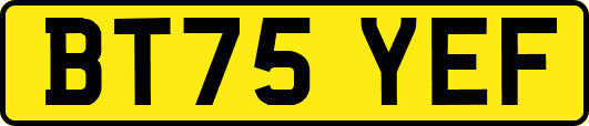 BT75YEF