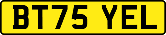 BT75YEL