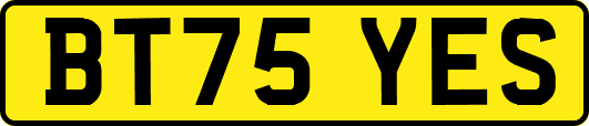 BT75YES