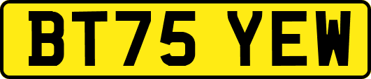 BT75YEW