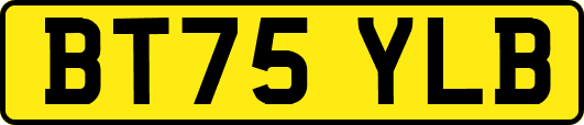 BT75YLB