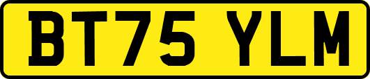 BT75YLM