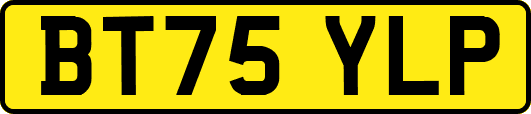 BT75YLP