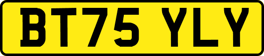 BT75YLY