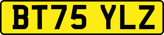 BT75YLZ