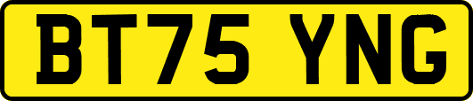 BT75YNG