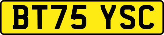 BT75YSC