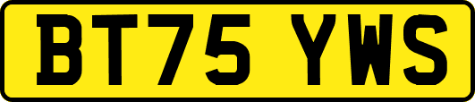 BT75YWS
