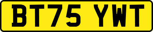 BT75YWT