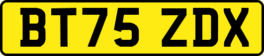 BT75ZDX