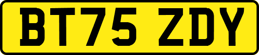 BT75ZDY