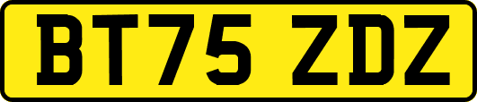 BT75ZDZ