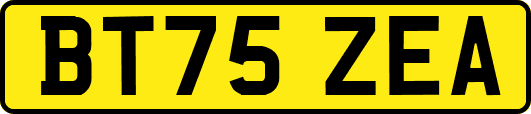 BT75ZEA
