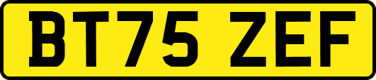 BT75ZEF