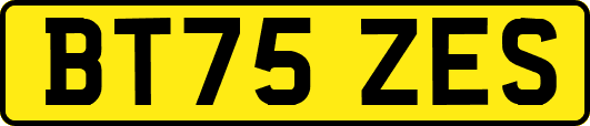 BT75ZES