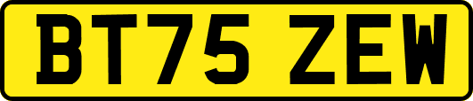 BT75ZEW