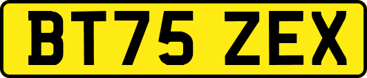 BT75ZEX