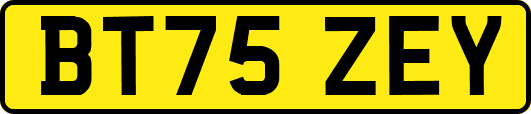 BT75ZEY