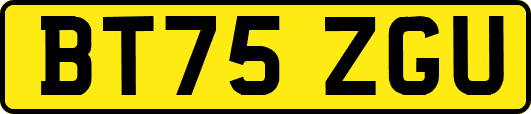 BT75ZGU