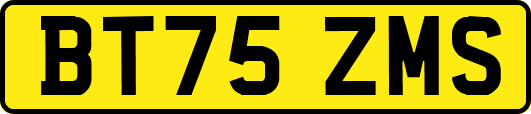 BT75ZMS