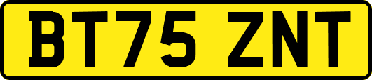 BT75ZNT