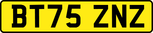 BT75ZNZ