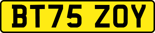 BT75ZOY