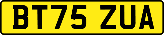 BT75ZUA