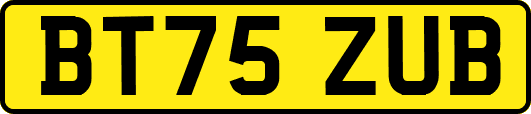 BT75ZUB