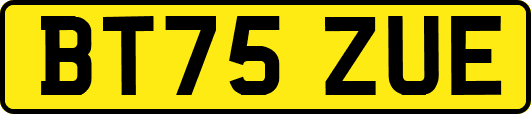 BT75ZUE