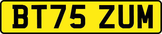 BT75ZUM