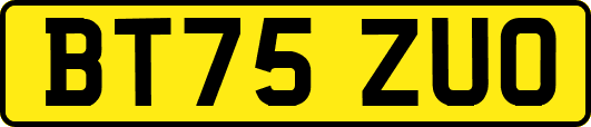 BT75ZUO