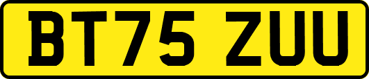 BT75ZUU