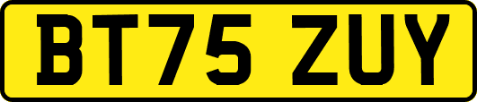 BT75ZUY