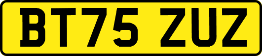 BT75ZUZ