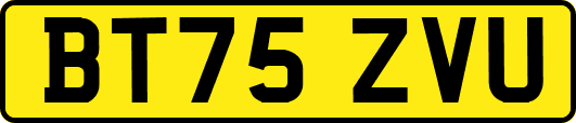 BT75ZVU