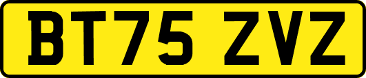 BT75ZVZ