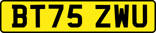 BT75ZWU