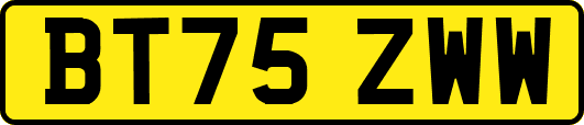 BT75ZWW