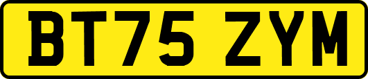 BT75ZYM