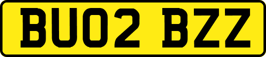 BU02BZZ