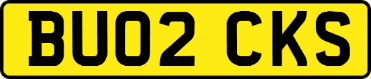 BU02CKS