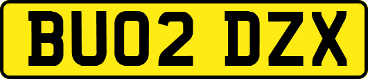 BU02DZX