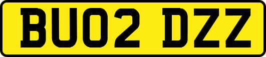 BU02DZZ