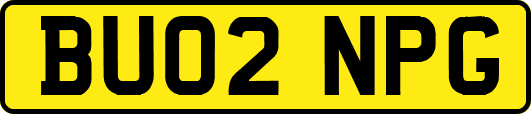 BU02NPG