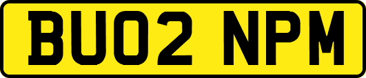 BU02NPM
