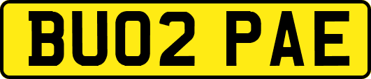 BU02PAE